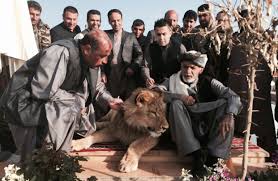 He was first elected on 2. Karzai Family Split Muddles Afghan Vote Wsj