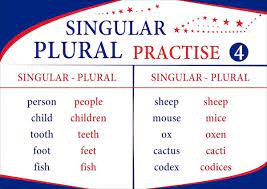 Plural Nouns Regular And Irregular Plurals In English