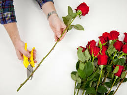 We did not find results for: Baltimore Md Faq Fleurs D Ave