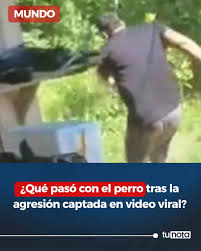 ¿Qué pasó con el perro tras la agresión captada en video viral?