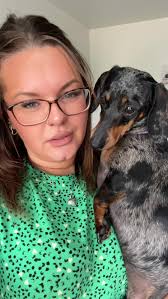 Funny Dachshund's Hilarious Encounter with a Child