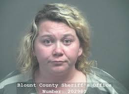 BEASLEY, SUMMER LEA Charges: DRUG/RECOVERY COURT SANCTIONS This information  and more is available https://apps.myocv.com/share/a95737804