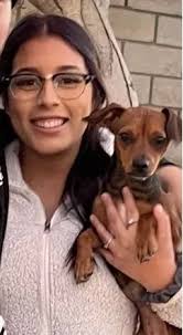 Analy Veterinary Hospital