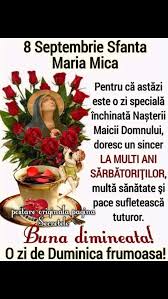 Interven?ia a fost prompt?, singurii agitatori au fost agen?ii de paz? Sfanta Maria MicÄƒ Zi De SÄƒrbÄƒtoare Scoala De Soferi Auto Vali Adi Timisoara