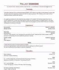 Sandwich Artist Cv Example Subway Job Lancashire Cv Template Uk Cv Template Artist Cv