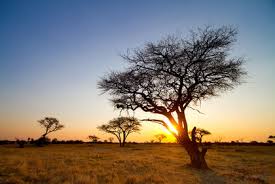 For those looking to travel in africa, zimbabwe is a great starting place. Location Size And Extent Zimbabwe Located Area