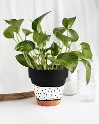 Hand Painted Terra Cotta Pot Black And White Painted Terra Etsy Plant Pot Design Plant Pot Diy Painted Plant Pots