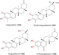 Image result for Cogniauxia podolaena