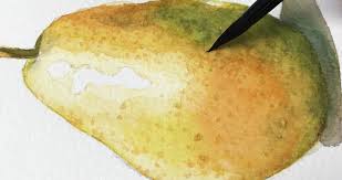 Check spelling or type a new query. How To Paint A Pear In Watercolor A Beginners Tutorial