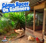 Como hacer un gallinero fácil en casa paso a paso