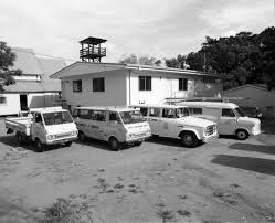 Image result for Yellow 1980 Queensland State Emergency