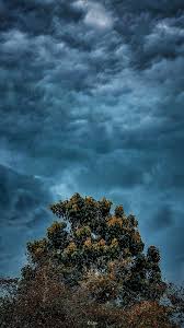 Tree Dark Cloud Extreme Weather 4k Ultra Hd Mobile Wallpaper You can download lock screen wallpapers for android and iphone. tree dark cloud extreme weather 4k