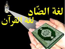 لغة الضاد لغة القران لغة الضاد