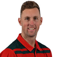 Tim David Profile & Career Stats