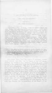 Image result for Wahlenbergia ericoidella