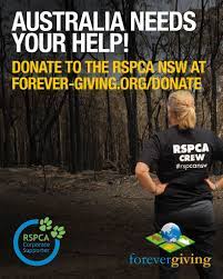 Help Australia Animals Affected By The Fires Donate Australia Animals Medical Services