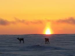 It's a low felony, but still punishable by up to 5 years. Pin On Barrow Alaska