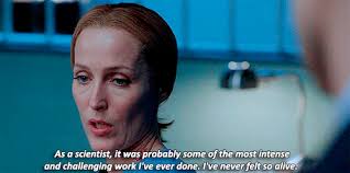 THE 12 FITTEST GUYS OF (NEW) FALL TV