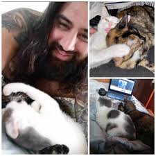 I'm new here! This is my girl, Lagertha ( and her brother Neko ) 😁