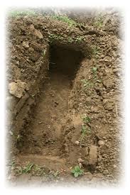 To also place flowers or green plants on a grave is permissable. In The Grave