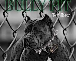 The Bully Pit Review An Introduction Into Chart Indicators