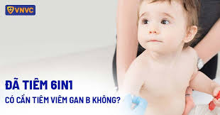 Đã tiêm 6in1 có cần tiêm viêm gan B không? [Bác sĩ trả lời]