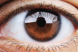 what eye color says about your health and personality the