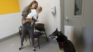 46,359 likes · 7,307 talking about this · 6,407 were here. No More Dog Pound Pets At Kitsap Humane Society Get Open Airy Adoption Center