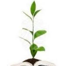 There's a problem loading this menu right now. Agriculture Ebooks On Twitter Entomology And Pest Management 6th Edition Pdf Download Ebook Larry P Pedigo And Marlin Http T Co Onlidgpj7r