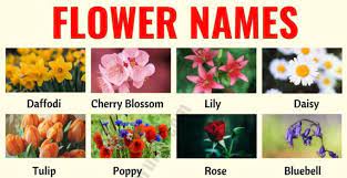 Flower Names List Of 25 Popular Types Of Flowers With The Pictures Esl Forums Flower Names Types Of Flowers List Of Flowers