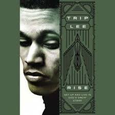 Rise Audiobook by Trip Lee read by David Chattam