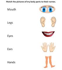 Add in assignment add in assignment. Environmental Science Preschool Body Parts Worksheet 2 Match The Pictures Color