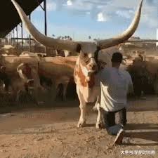   Ecology 生態留影