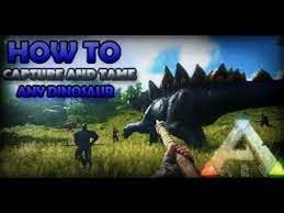 Ark Survival Evolved How To Capture Tame Any Dinosaur With Giant Bee H Ark Survival Evolved Ark Survival