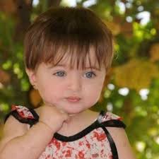 Stream من روائع هاني شاكر