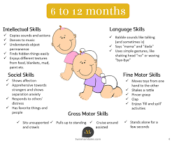 Twin Babies Development Milestones 6 To 12 Months