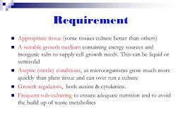 Check spelling or type a new query. The Three Pillars Of Yield Ppt Download