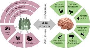 Epilepsy is a common chronic neurological disorder characterized by recurrent seizures. Why Epilepsy Challenges Social Life Seizure European Journal Of Epilepsy
