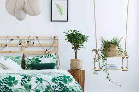 We did not find results for: 15 Best Hanging Plants For Bedroom Garden Tabs