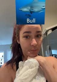 Paulettekilgore77_shark