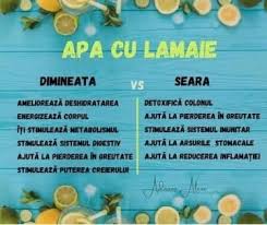 Ghimbirul accelereaza tranzitul intestinal si controleaza senzatia de foame, iar lamaia acum, cand vine vorba de dieta, consumul de lamaie si ghimbir se recomanda in special pentru persoanele cu obezitate. Nutritie Si Alimentatie Corecta TimiÈoara Facebook