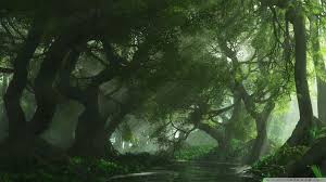 #1 place for your anime apparel, clothes, cosplay, accessories, figures, anime gift ideas and other goodies at affordable prices! Anime Forest Wallpapers Top Free Anime Forest Backgrounds Wallpaperaccess