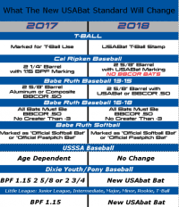 Aau Baseball Age Chart 21 Roster Form Templates 0