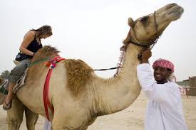 What does camel jockey mean? Camel Jockey Photo