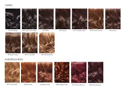 37 You Will Love Hair Extension Colours Chart