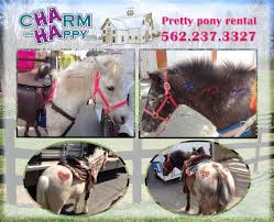 We found 12 results for petting zoo rental in or near joliet, il. Charmandhappy Com Pony Ride Ponies Petting Zoo Farm Animals Traveling Rental Whittier Los Angeles Orange County