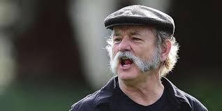 Airplanes Made From Trees