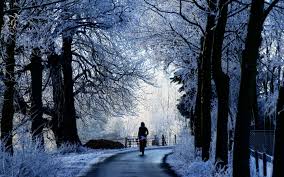 See more ideas about macbook wallpaper, christmas desktop wallpaper, mac wallpaper. Macbook Pro Winter Background 2880x1800 Wallpaper Teahub Io