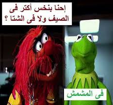 فعلالالا في المشمش ههههههههههههههههههههه Funny Picture Jokes Fun Quotes Funny Arabic Funny