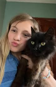 Temporary cat room location unsure?